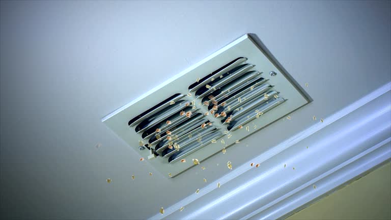 Best Affordable Air Duct Cleaning  in Bangor Base, WA