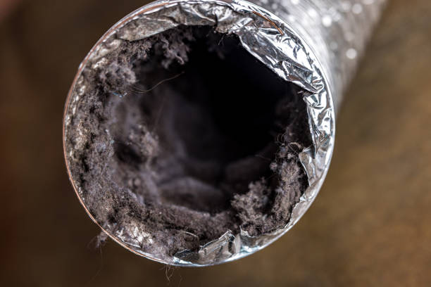 Best Residential Air Duct Cleaning  in Bangor Base, WA