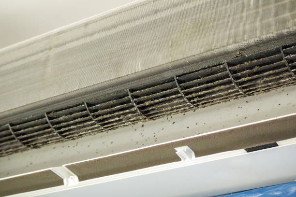 Best Air Duct Cleaning Near Me  in Bangor Base, WA